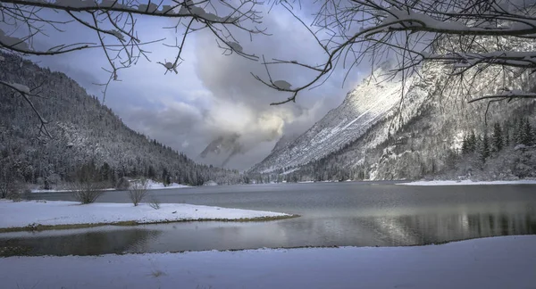 Çam ağaçları ve Predil Gölü, İtalya 'nın karla kaplı manzarası