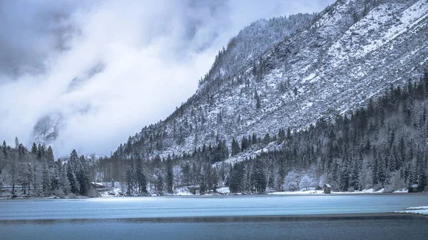 Çam ağaçları ve Predil Gölü, İtalya 'nın karla kaplı manzarası