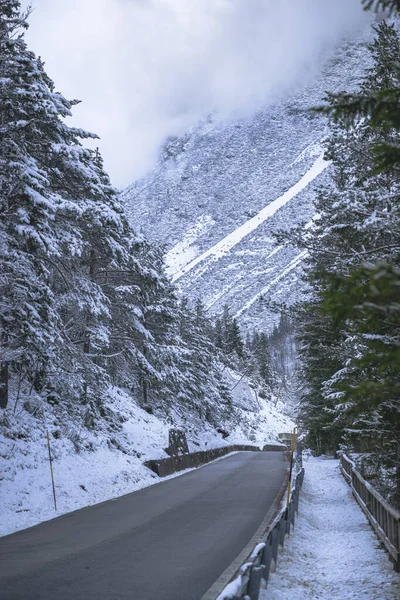 view of asphalt road through winter forest near Predil Lake, Italy