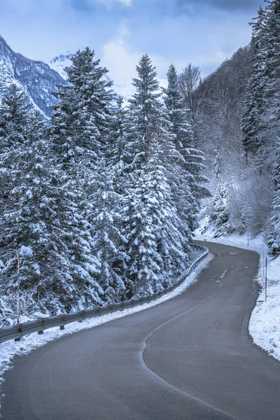 view of asphalt road through winter forest near Predil Lake, Italy