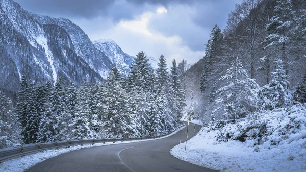 view of a road through winter forest near Predil Lake, Italy