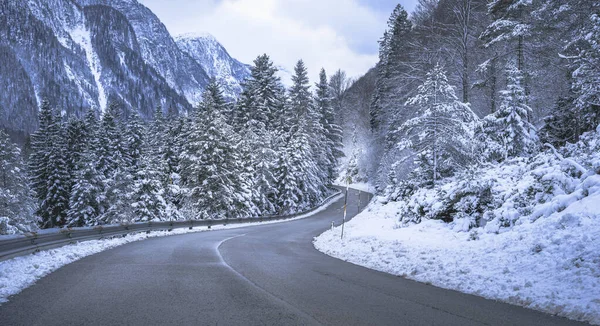 view of a road through winter forest near Predil Lake, Italy