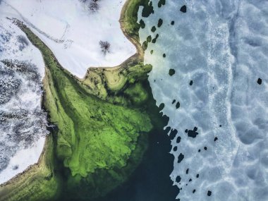 Su yakınında çam ağaçları bulunan karla kaplı hava manzarası, Predil Gölü, İtalya