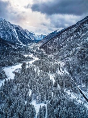 Dolomite dağlarında karla kaplı ağaçlarla kaplı kış manzarası