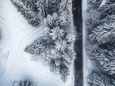 İtalya 'daki Predil Gölü yakınlarındaki kış ormanlarından geçen bir yolun havadan görünüşü