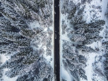 İtalya 'daki Predil Gölü yakınlarındaki kış ormanlarından geçen bir yolun havadan görünüşü