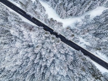 İtalya 'daki Predil Gölü yakınlarındaki kış ormanlarından geçen bir yolun havadan görünüşü
