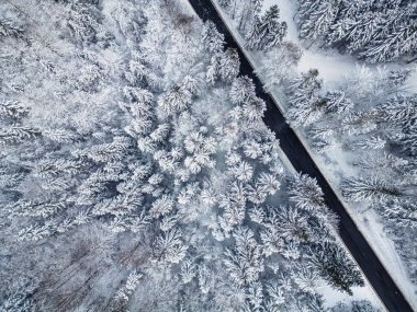 İtalya 'daki Predil Gölü yakınlarındaki kış ormanlarından geçen bir yolun havadan görünüşü