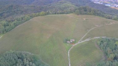 Üzüm bağları manzaralı ev manzaralı