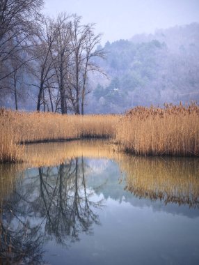 Lago di Cavazzo (Lago dei Tre Comuni) İtalya 'nın Friuli-Venezia Giulia bölgesinde güzel bir doğal göl.