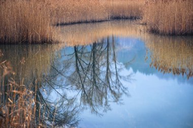 Lago di Cavazzo (Lago dei Tre Comuni) İtalya 'nın Friuli-Venezia Giulia bölgesinde güzel bir doğal göl.