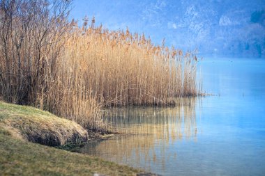 Lago di Cavazzo (Lago dei Tre Comuni) İtalya 'nın Friuli-Venezia Giulia bölgesinde güzel bir doğal göl.