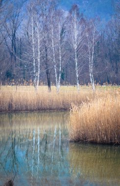 Lago di Cavazzo (Lago dei Tre Comuni) İtalya 'nın Friuli-Venezia Giulia bölgesinde güzel bir doğal göl.