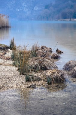 Lago di Cavazzo (Lago dei Tre Comuni) İtalya 'nın Friuli-Venezia Giulia bölgesinde güzel bir doğal göl.