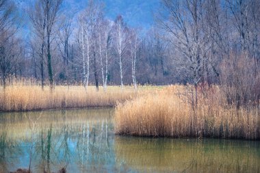 Lago di Cavazzo (Lago dei Tre Comuni) İtalya 'nın Friuli-Venezia Giulia bölgesinde güzel bir doğal göl.