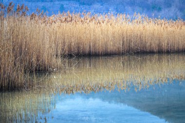 Lago di Cavazzo (Lago dei Tre Comuni) İtalya 'nın Friuli-Venezia Giulia bölgesinde güzel bir doğal göl.