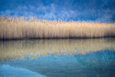 Lago di Cavazzo (Lago dei Tre Comuni) İtalya 'nın Friuli-Venezia Giulia bölgesinde güzel bir doğal göl.