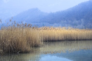 Lago di Cavazzo (Lago dei Tre Comuni) İtalya 'nın Friuli-Venezia Giulia bölgesinde güzel bir doğal göl.