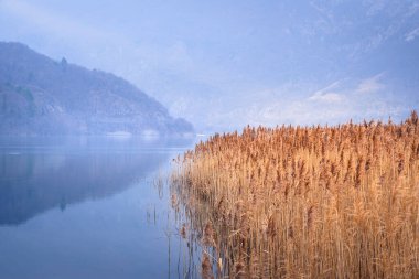 Lago di Cavazzo (Lago dei Tre Comuni) İtalya 'nın Friuli-Venezia Giulia bölgesinde güzel bir doğal göl.