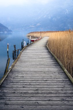 Lago di Cavazzo (Lago dei Tre Comuni) İtalya 'nın Friuli-Venezia Giulia bölgesinde güzel bir doğal göl.