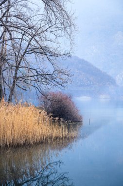 Lago di Cavazzo (Lago dei Tre Comuni) İtalya 'nın Friuli-Venezia Giulia bölgesinde güzel bir doğal göl.
