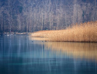 Lago di Cavazzo (Lago dei Tre Comuni) İtalya 'nın Friuli-Venezia Giulia bölgesinde güzel bir doğal göl.