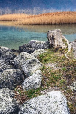 Lago di Cavazzo (Lago dei Tre Comuni) İtalya 'nın Friuli-Venezia Giulia bölgesinde güzel bir doğal göl.