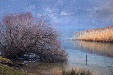 Lago di Cavazzo (Lago dei Tre Comuni) İtalya 'nın Friuli-Venezia Giulia bölgesinde güzel bir doğal göl.