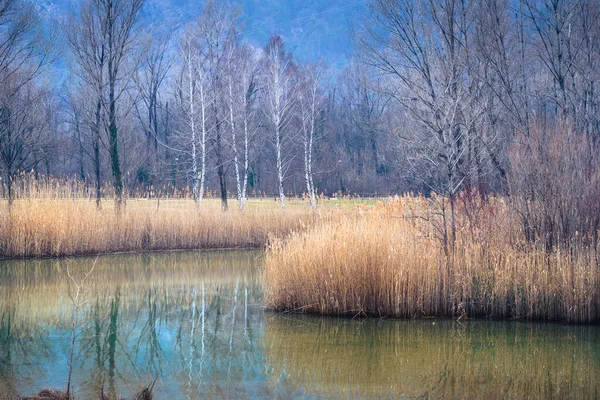 Lago di Cavazzo (Lago dei Tre Comuni) İtalya 'nın Friuli-Venezia Giulia bölgesinde güzel bir doğal göl.