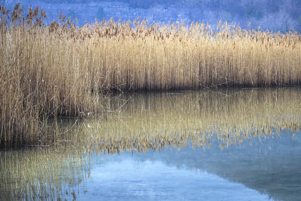 Lago di Cavazzo (Lago dei Tre Comuni) İtalya 'nın Friuli-Venezia Giulia bölgesinde güzel bir doğal göl.