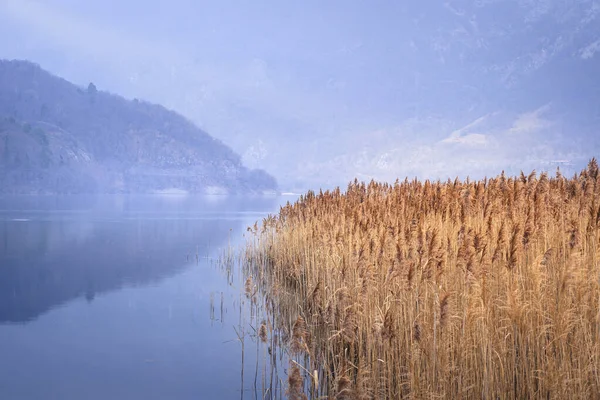 Lago di Cavazzo (Lago dei Tre Comuni) İtalya 'nın Friuli-Venezia Giulia bölgesinde güzel bir doğal göl.