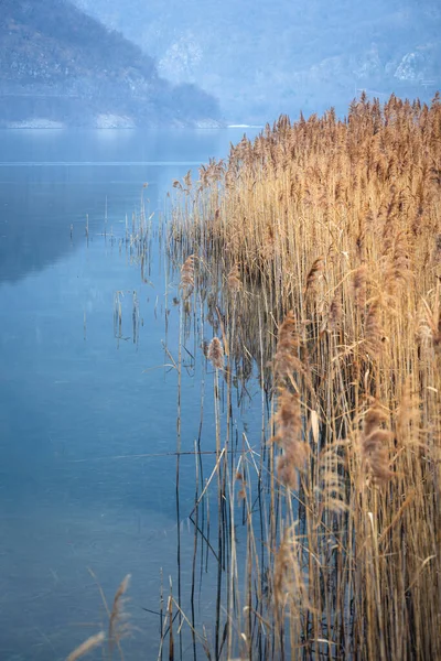 Lago di Cavazzo (Lago dei Tre Comuni) İtalya 'nın Friuli-Venezia Giulia bölgesinde güzel bir doğal göl.