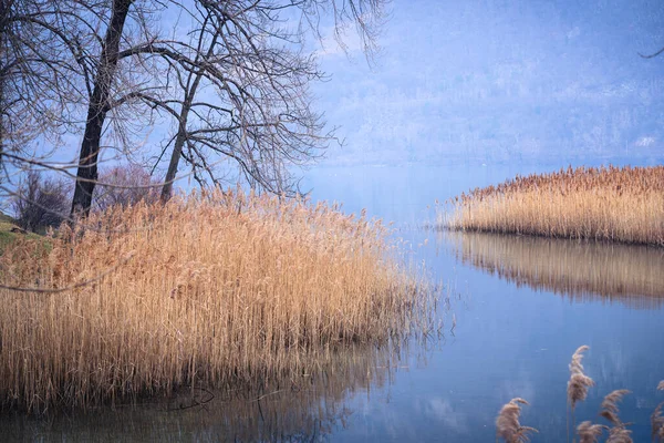 Lago di Cavazzo (Lago dei Tre Comuni) İtalya 'nın Friuli-Venezia Giulia bölgesinde güzel bir doğal göl.
