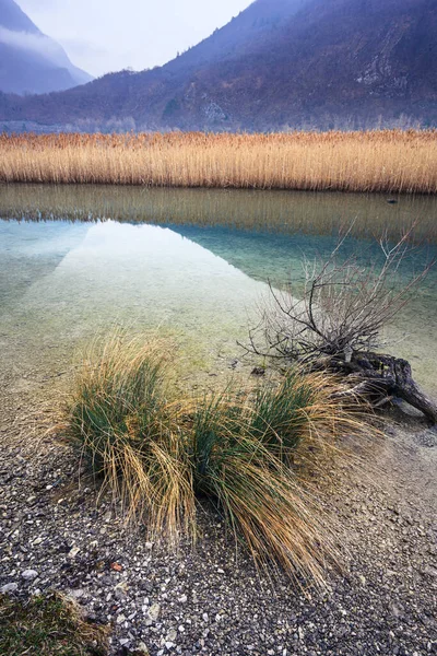 Lago di Cavazzo (Lago dei Tre Comuni) İtalya 'nın Friuli-Venezia Giulia bölgesinde güzel bir doğal göl.