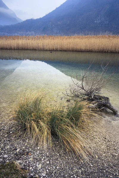 Lago di Cavazzo (Lago dei Tre Comuni) İtalya 'nın Friuli-Venezia Giulia bölgesinde güzel bir doğal göl.