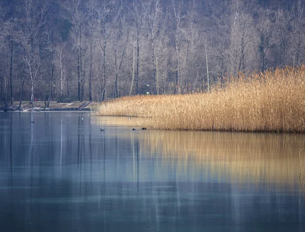 Lago di Cavazzo (Lago dei Tre Comuni) İtalya 'nın Friuli-Venezia Giulia bölgesinde güzel bir doğal göl.