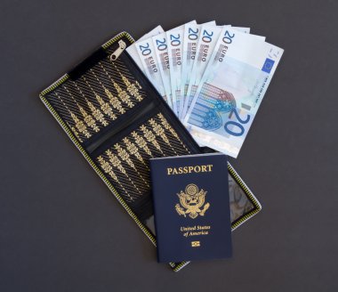 Pasaportu ve cüzdanı Wiith Euro