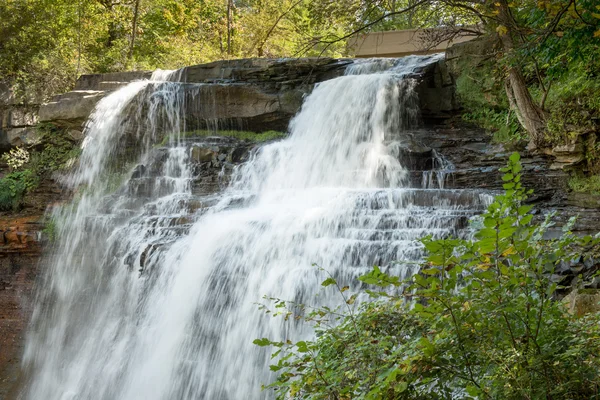 Brandywine Falls Late Summer — Stock Photo, Image