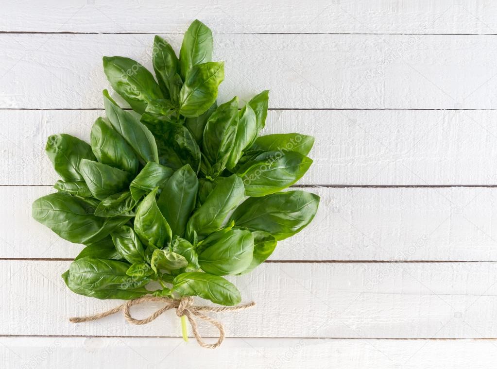 Fresh Basil Bouquet Tied With Twine