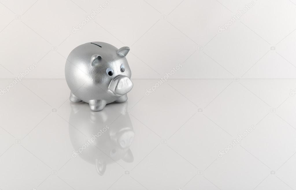 Silver Metallic Piggy Bank With Reflection