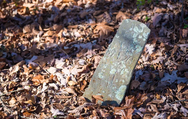 Antigua lápida en hojas de otoño — Foto de Stock