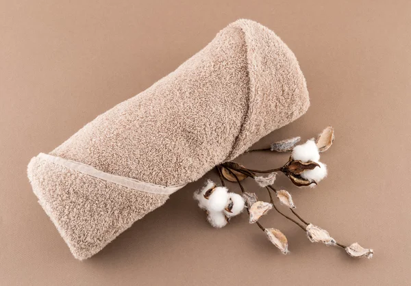 Spa lyx handduk och bomull gren — Stockfoto