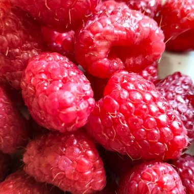 ripe raspberries red berries fresh and sweet raspberries background