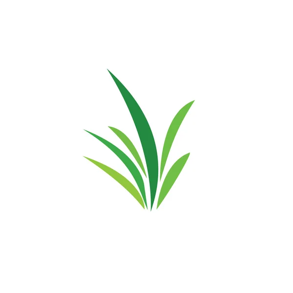 Yeşil Çimenler Gazon Vektör Simgesi Web Sürümü — Stok Vektör