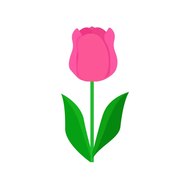 Plat Pictogram Witte Achtergrond Tulp Bloeit Maart Voorjaarsdag Voor Vrouwen — Stockvector