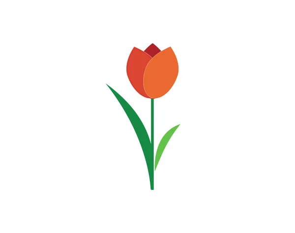 Tulp Bloeit Pictogram Witte Achtergrond Maart Voorjaarsdag Voor Vrouwen — Stockvector