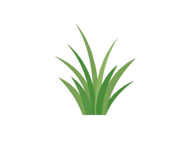 Green Grass Gazon Vector Icon Web Version — Stock Vector