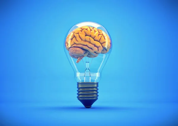 Cerebro Humano Dentro Una Bombilla Idea Creativa Lluvia Ideas Esta — Foto de Stock