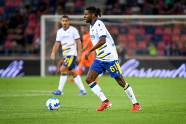 Adrien Tameze (Verona) İtalyan futbolu Serie A maçında Bologna FC 'nin Hellas Verona FC' ye karşı oynadığı Renato Dall # 39; Ara stadyumu, 13 Eylül 2021 - Fotoğraf: Ettore Griffoni