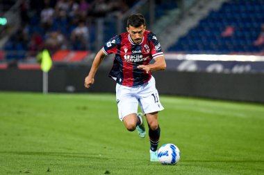 Nicola Sansone (Bologna) İtalya futbol takımı Serie A maçında Renato Dall & # 39; Ara Stadyumu 'nda Hellas Verona FC' ye karşı oynadığı maçta 13 Eylül 2021 - Fotoğraf: Ettore Griffoni